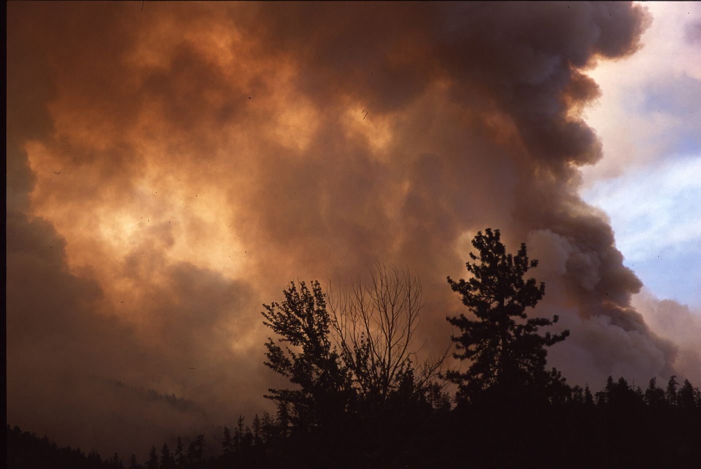 Smoke rising from a forest wildfire