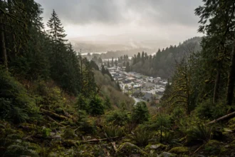 Pacific Northwest evergreen forest with light haze above a small town