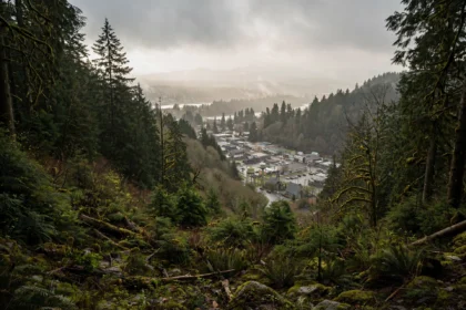 Pacific Northwest evergreen forest with light haze above a small town